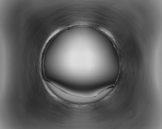 X0000083971135200703091756