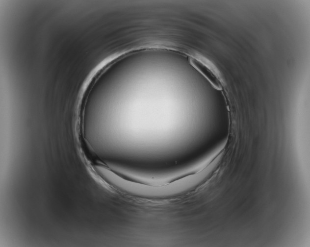 X0000083971136200703091756