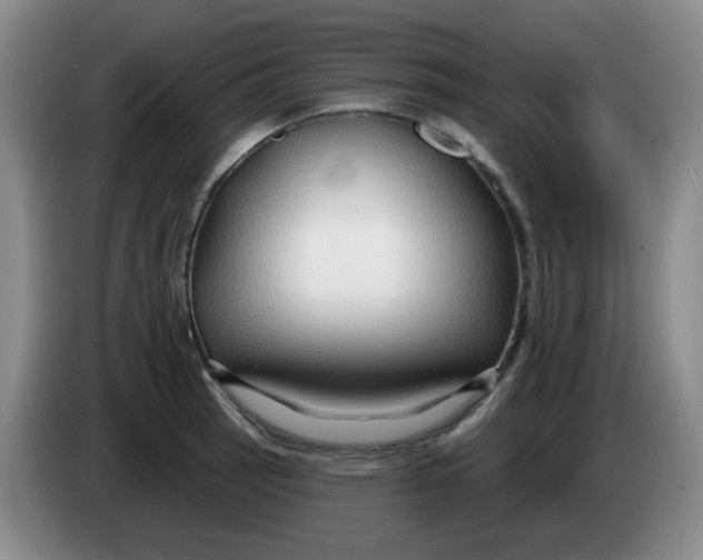 X0000083971137200703091756