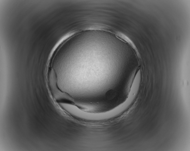 X0000083971138200703091756