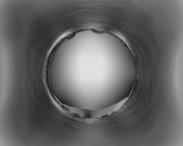 X0000083971139200703091756