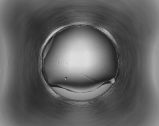 X0000083971140200703091756