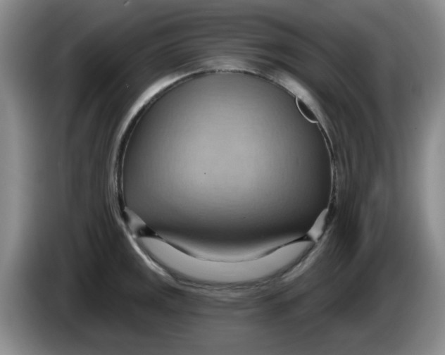 X0000083971141200703091756