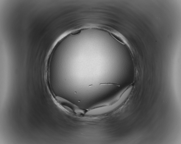 X0000083971143200703091756