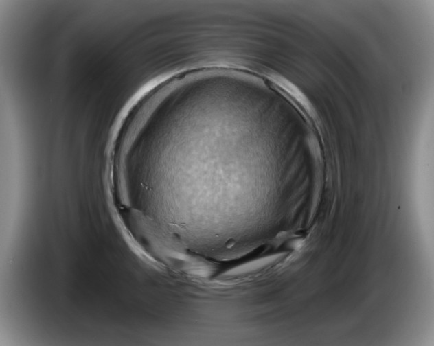 X0000083971144200703091756