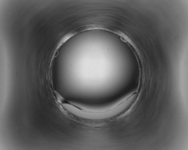 X0000083971145200703091756