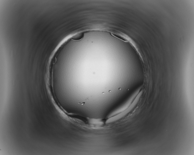 X0000083971147200703091757