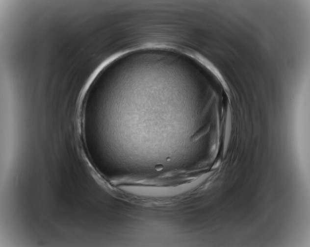 X0000083971148200703091757