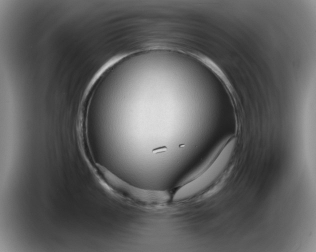 X0000083971149200703091757