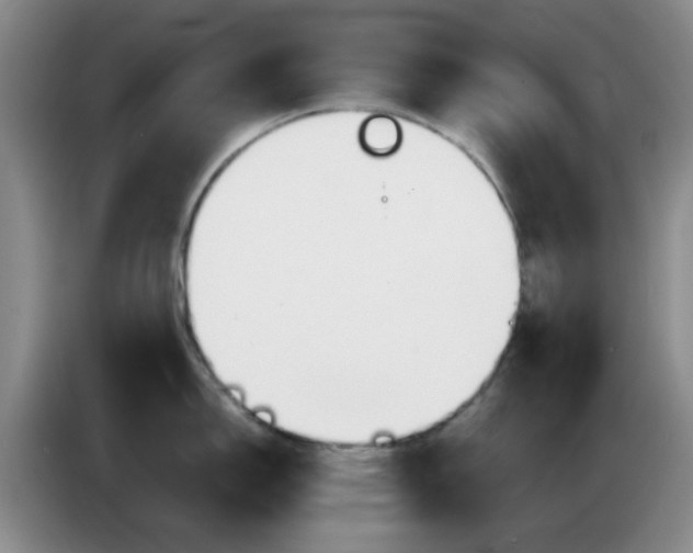 X0000083971150200703091757