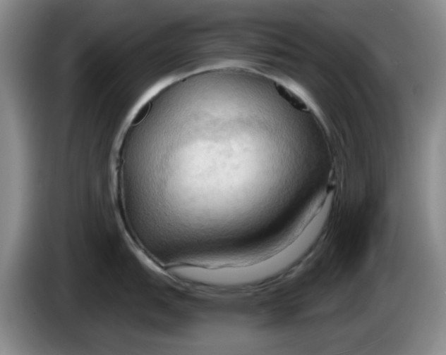 X0000083971151200703091757
