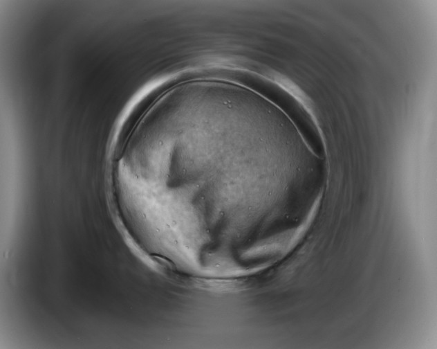 X0000083971152200703091757