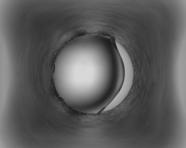 X0000083971153200703091756