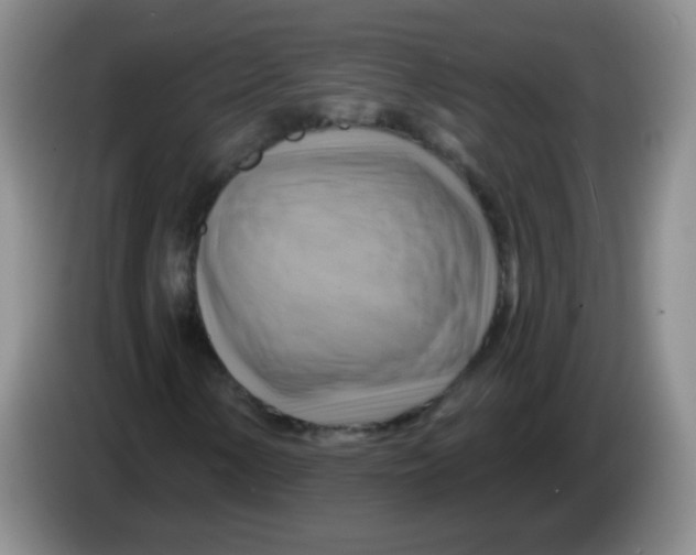 X0000083971154200703091756