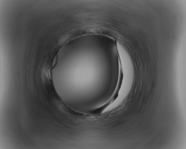 X0000083971155200703091756