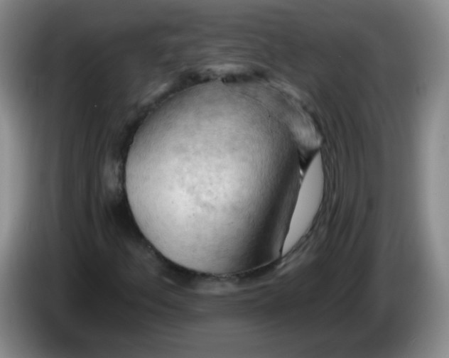 X0000083971156200703091756