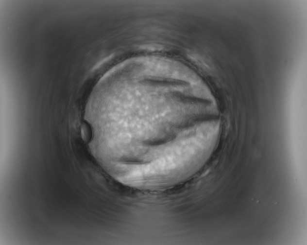 X0000083971158200703091756