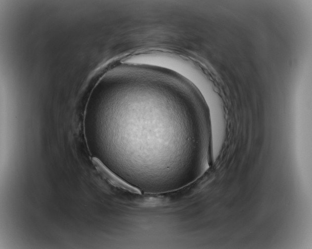 X0000083971160200703091756