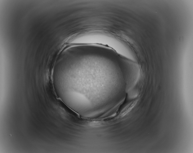 X0000083971161200703091756