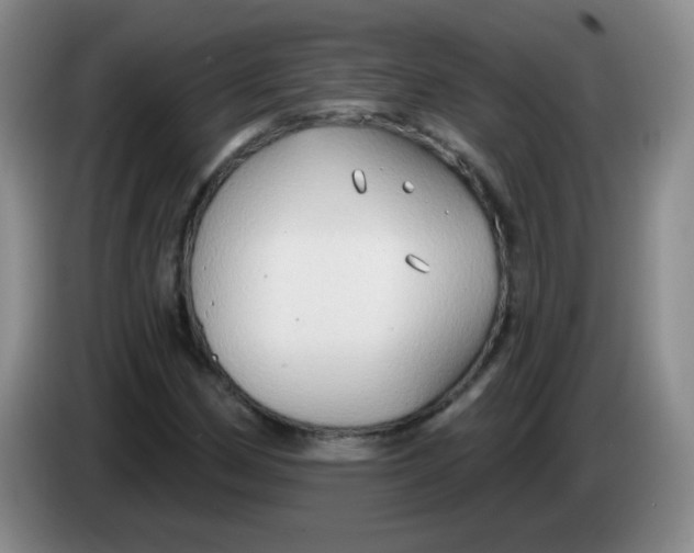 X0000083971162200703091756