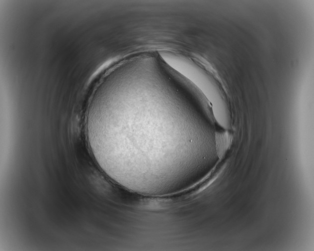 X0000083971163200703091756