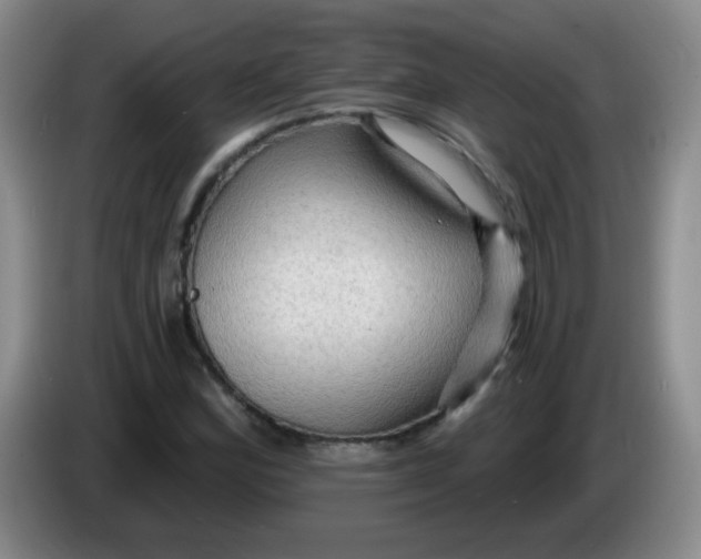X0000083971164200703091756