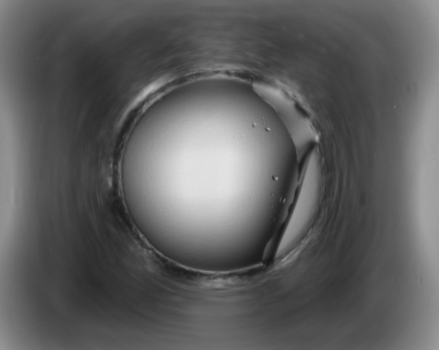 X0000083971165200703091756