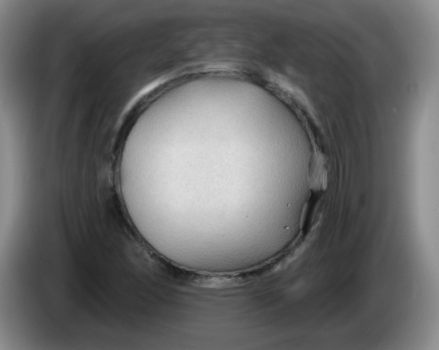 X0000083971166200703091756