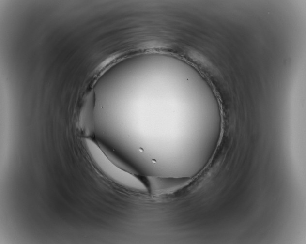 X0000083971169200703091756