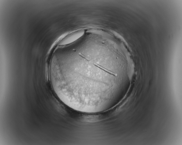 X0000083971171200703091756