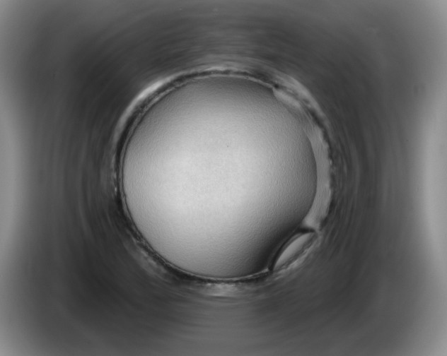 X0000083971172200703091756