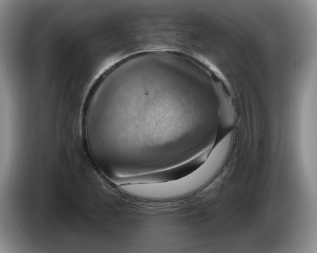 X0000083971173200703091756