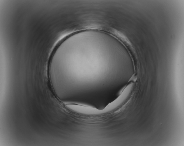 X0000083971174200703091756