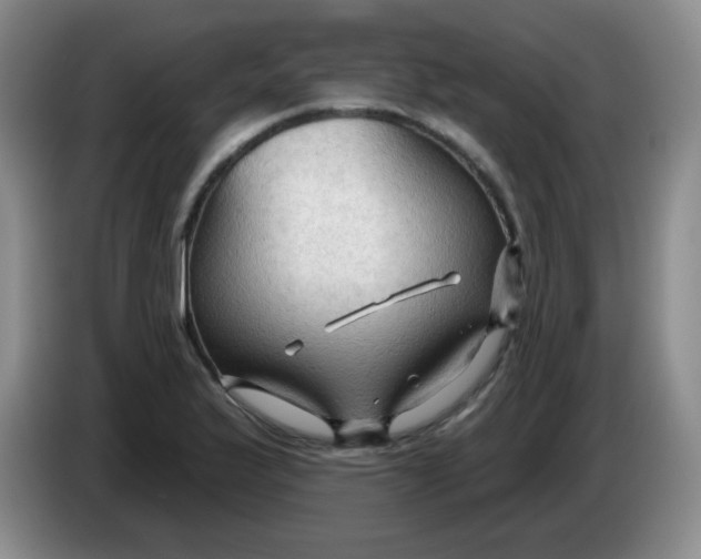 X0000083971175200703091756