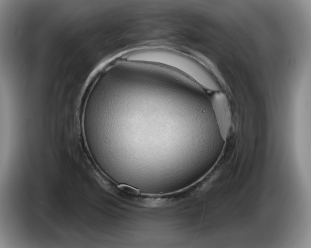 X0000083971176200703091756