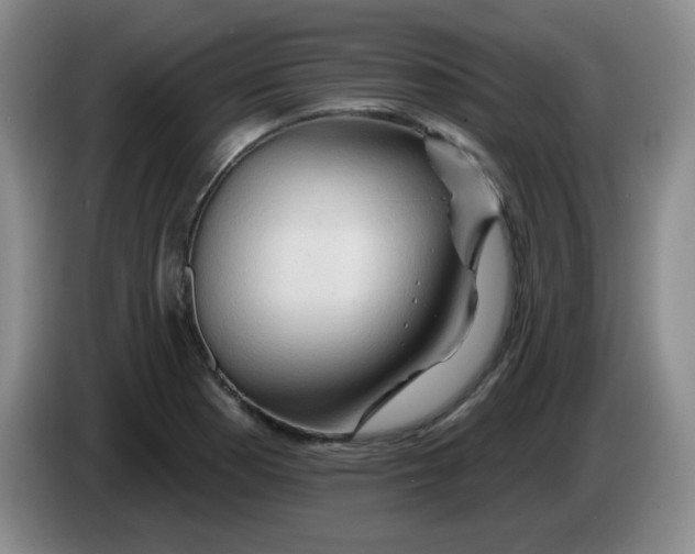 X0000083971177200703091756