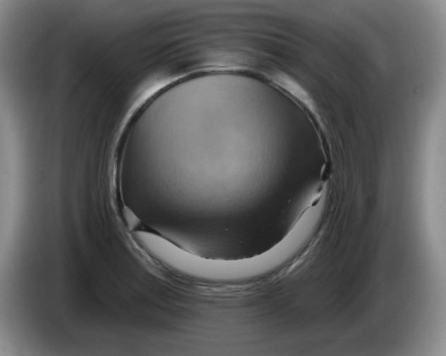 X0000083971179200703091756