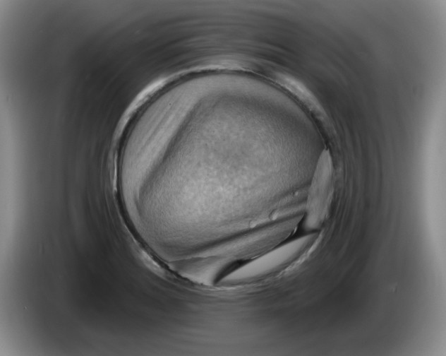 X0000083971180200703091756