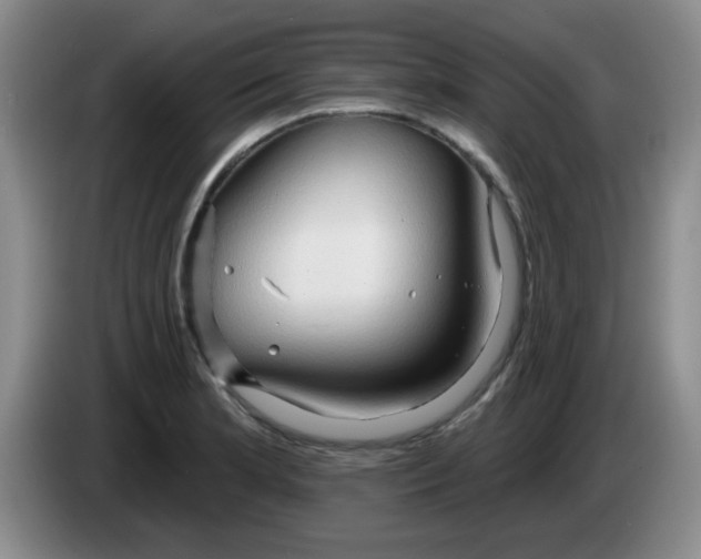 X0000083971181200703091756