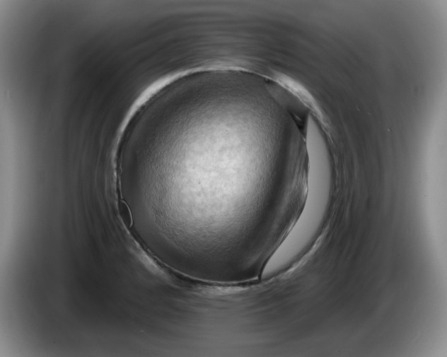 X0000083971184200703091756