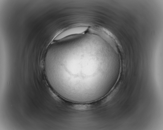 X0000083971185200703091756
