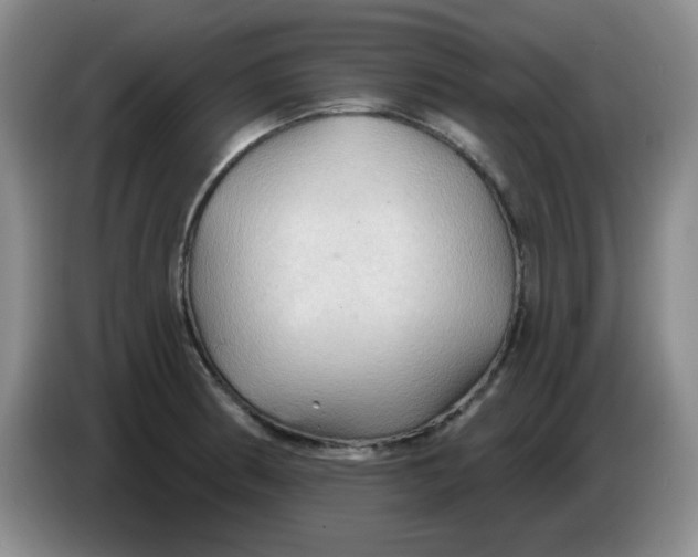 X0000083971186200703091755