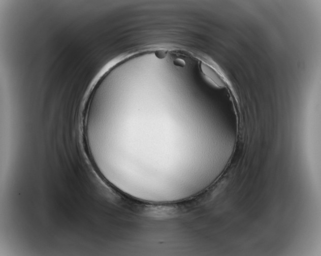 X0000083971187200703091755