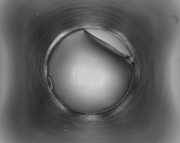 X0000083971188200703091755