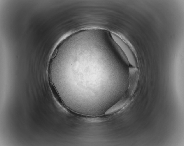 X0000083971189200703091755