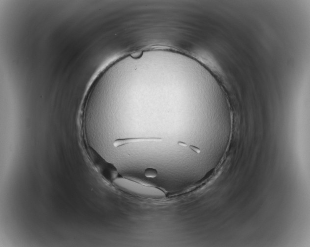 X0000083971190200703091755