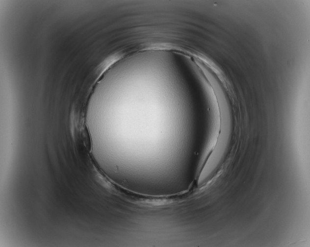 X0000083971193200703091755