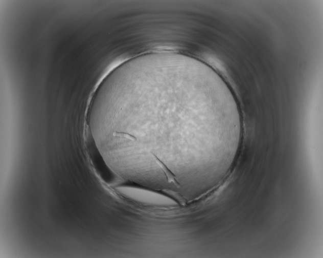X0000083971194200703091755