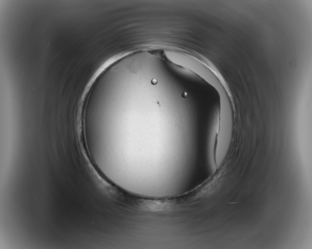 X0000083971195200703091755
