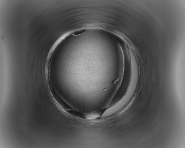 X0000083971196200703091755